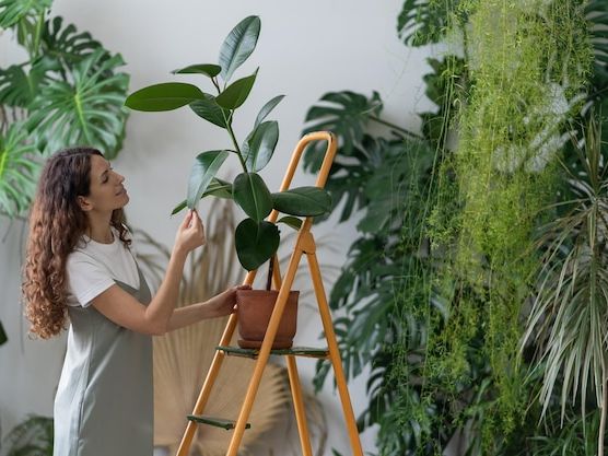 Jak zaprojektować ekologiczne wnętrze krok po kroku – praktyczny przewodnik