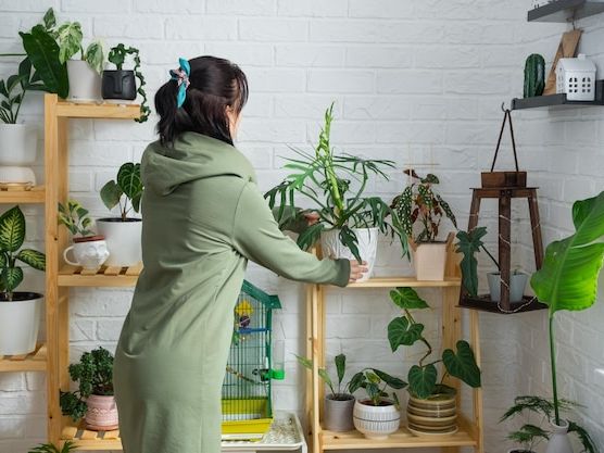 Zalety biophilic design w aranżacji przestrzeni mieszkalnej – jak natura wpływa na nasze zdrowie i samopoczucie